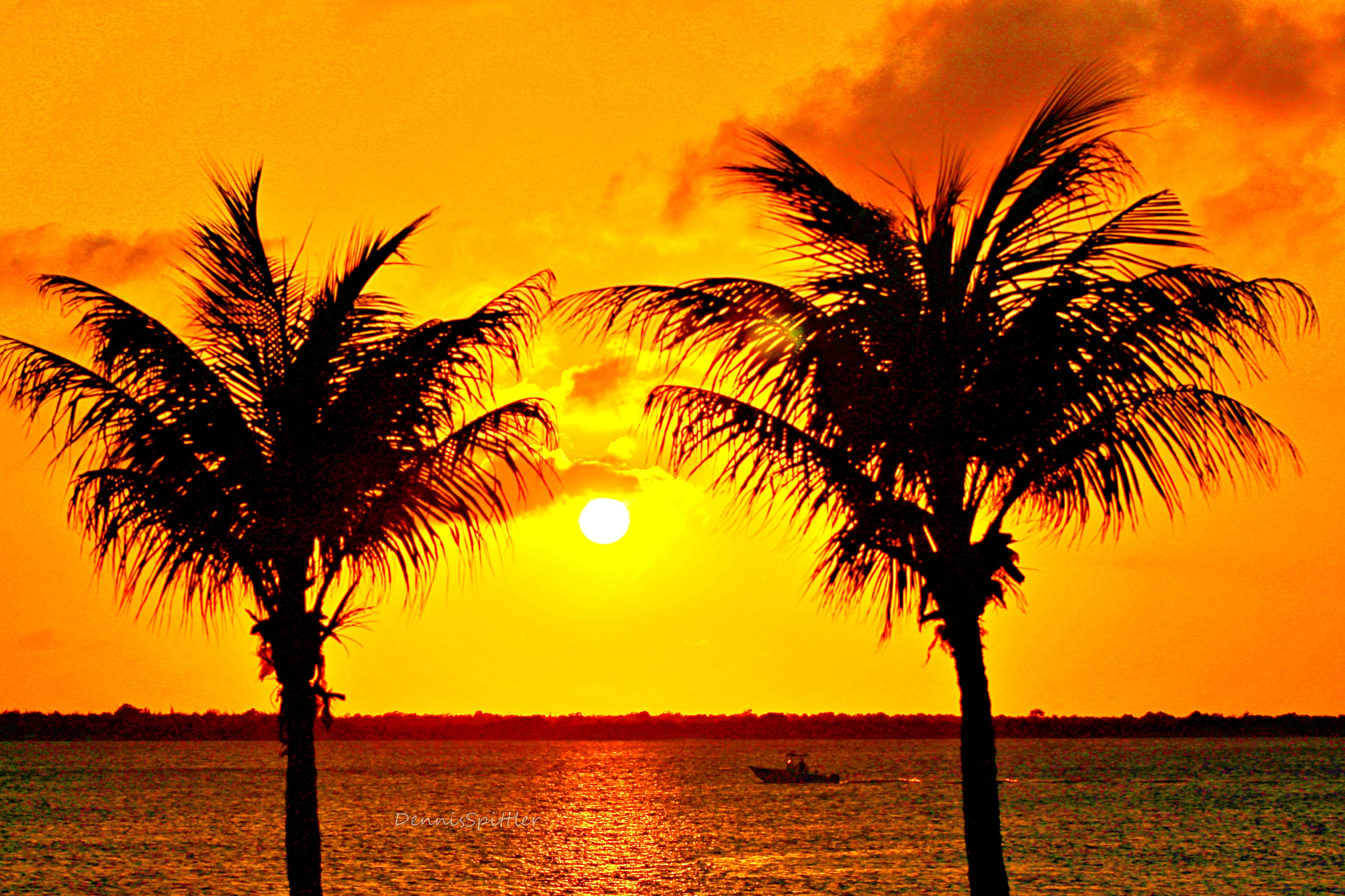 AMAZING WILDLOFE AND OUTDOOR PHOTOS