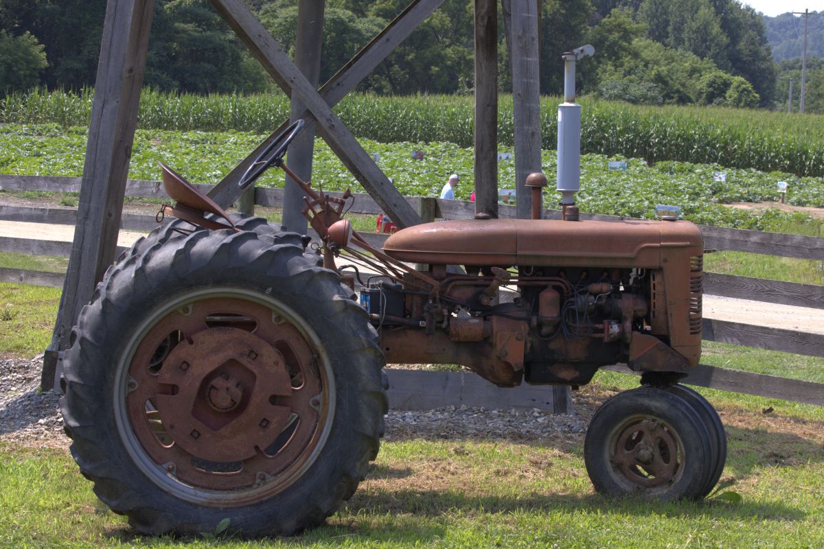 The Iron Workhorse — Rustic Antique Tractor & Cornfields Photography Print | Farmland Wall Art