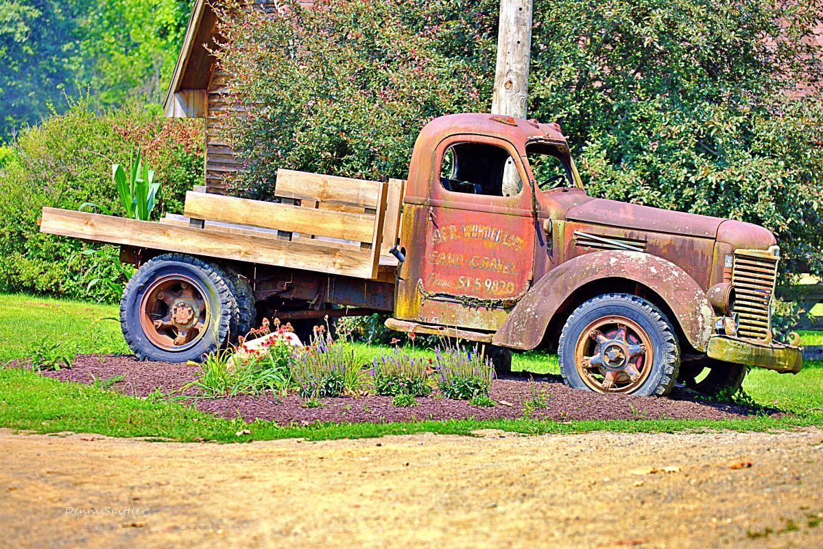 The Old Guard — Antique Farm Truck & Spring Flowers Photography Print | Rustic Country Wall Art