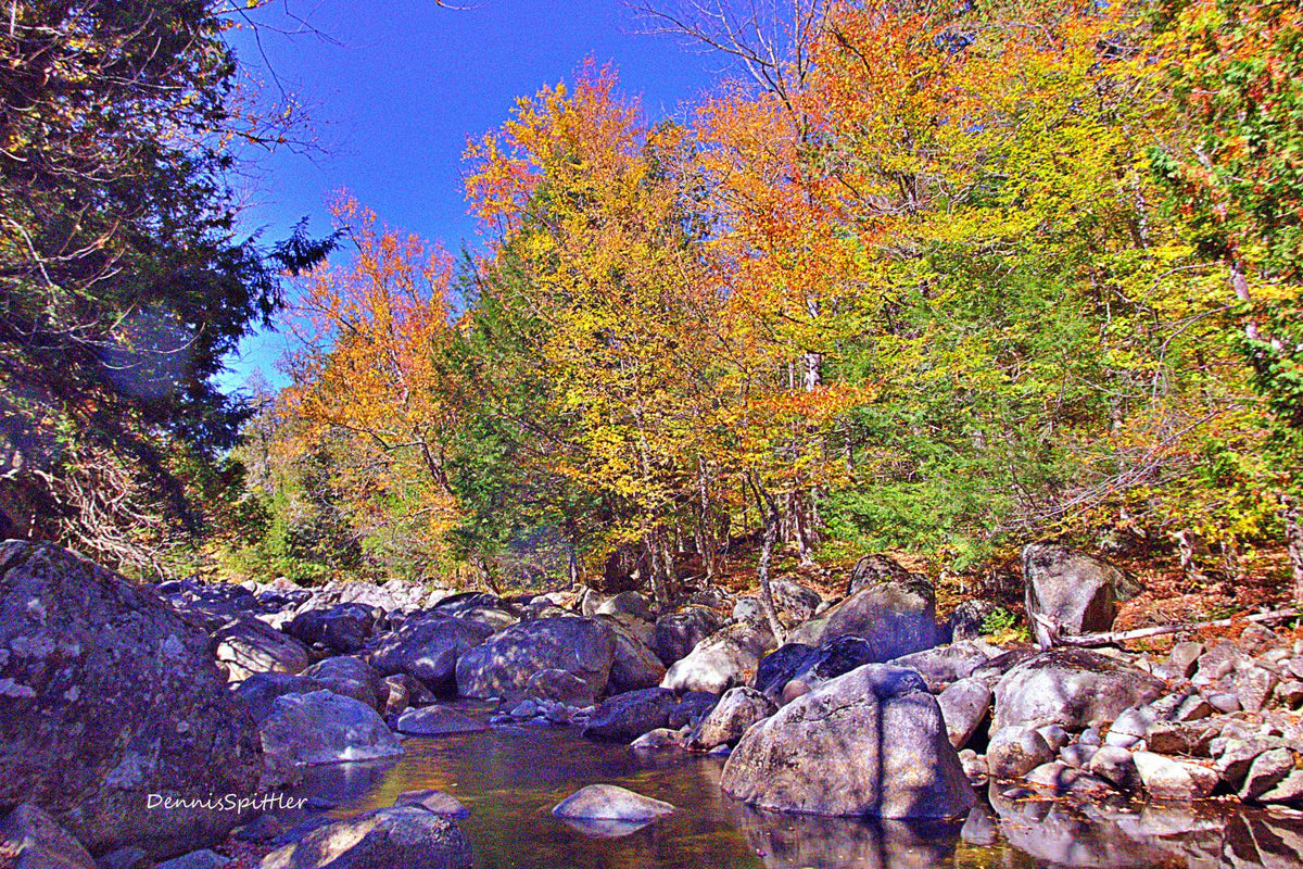 Rocky Adirondack mountain stream surrounded by blazing fall foliage orange and yellow trees against blue sky