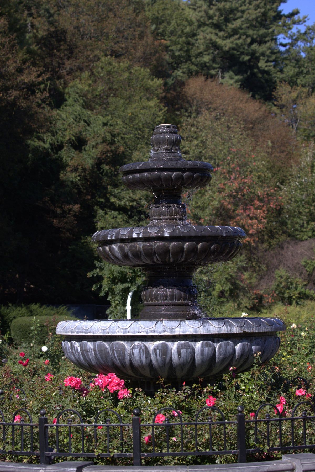 Awakening — Three Tiered Fountain & Red Flowers | Central Park Schenectady NY Photography Print