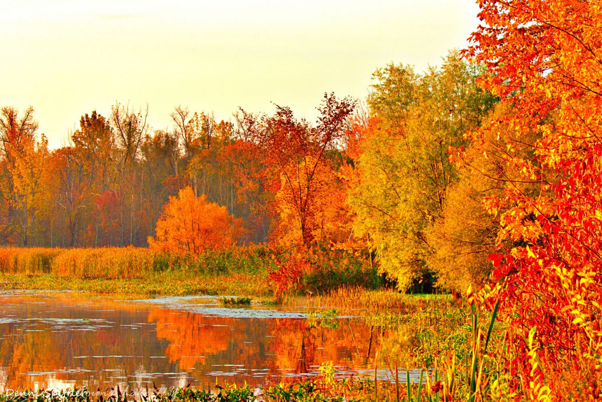 Autumn Fire — Fall Foliage Reflection Fine Art Landscape Photography Print