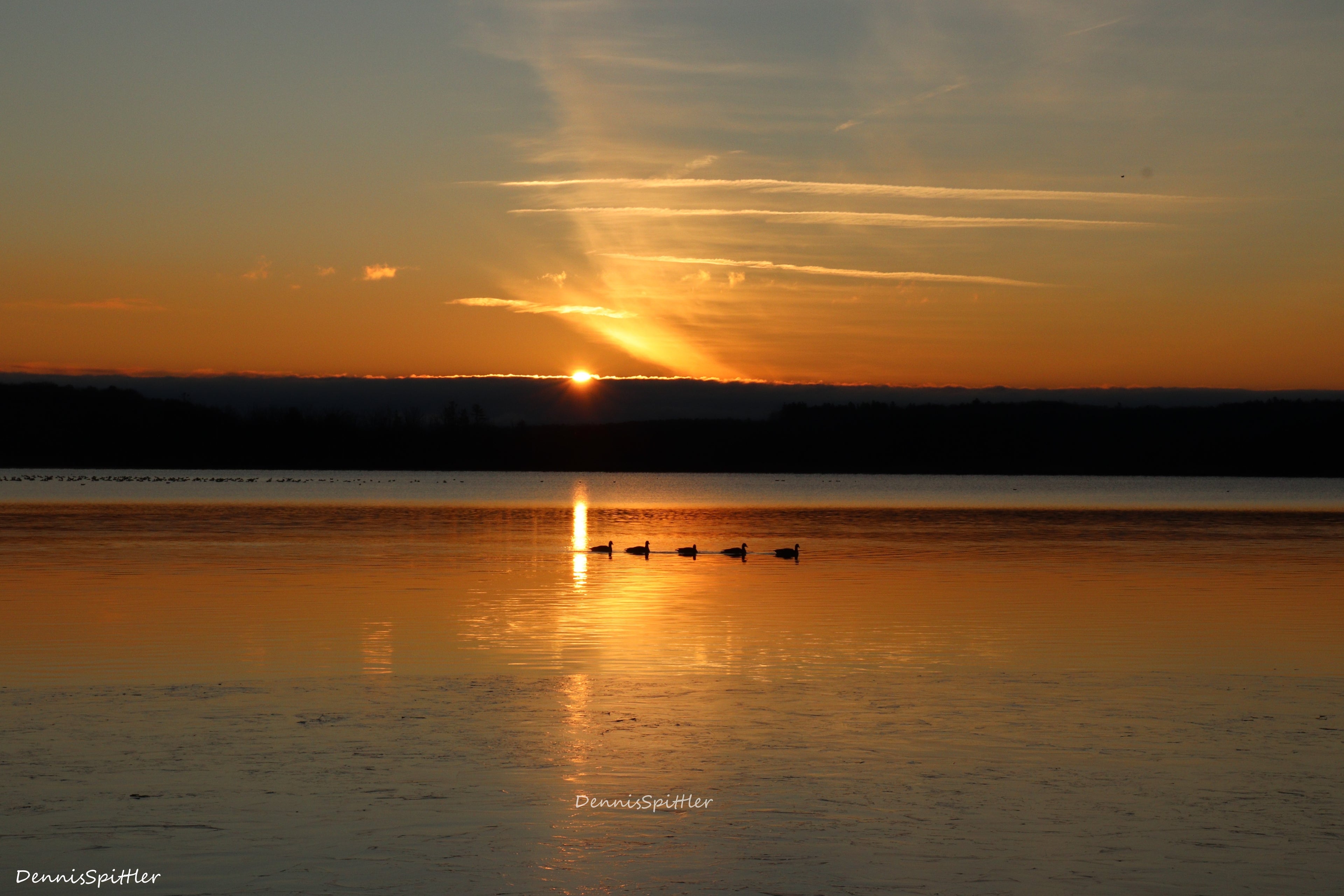 Adirondack Sunset with Ducks on Lake George - Upstate NY Nature Photography Print