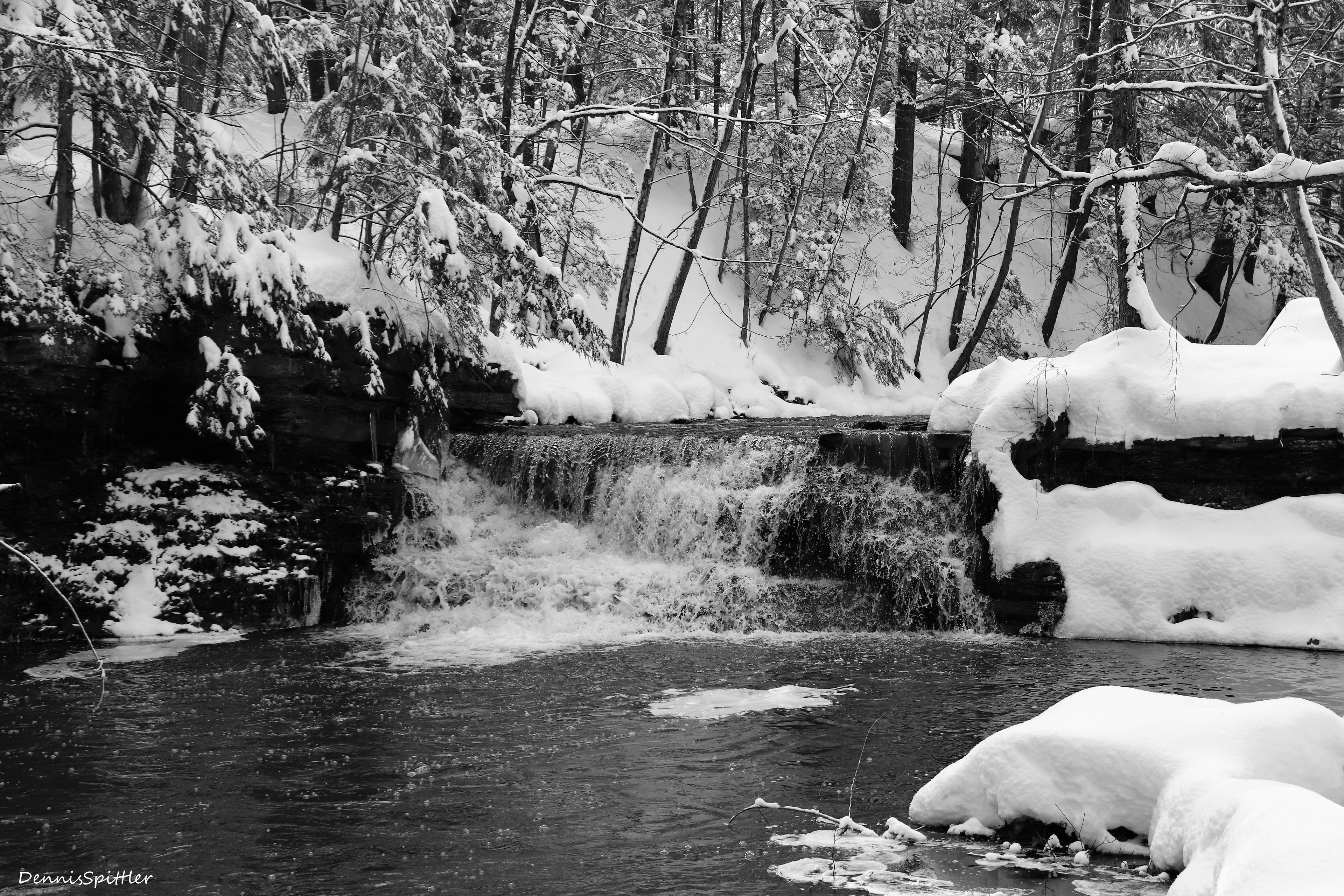 AMAZING OUTDOOR AND WILDLIFE PHOTOGRAPHY
