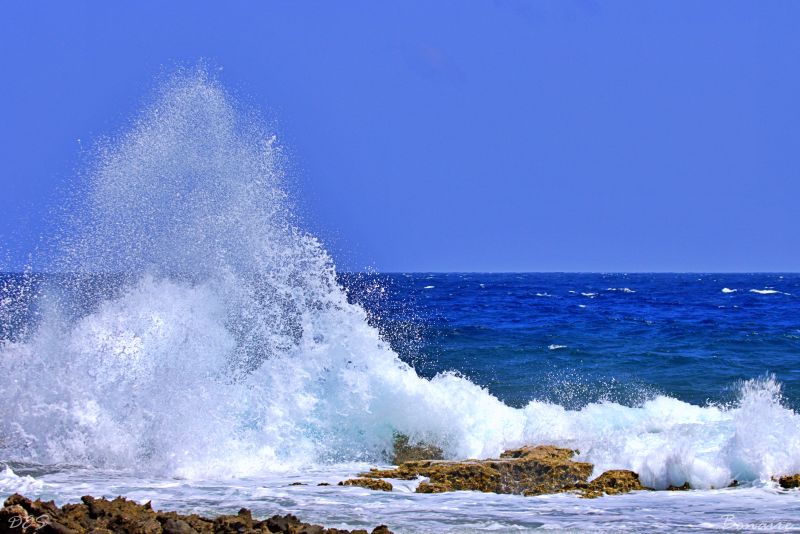 Bonaire Ocean Waves Crashing on Rocks - Caribbean Coastal Photography Print