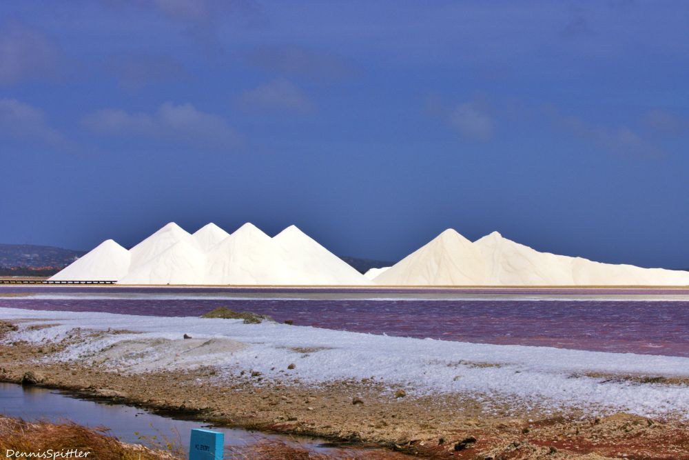 Pink Salt Water & White Salt Mountains Photography Print - Bonaire Caribbean Art