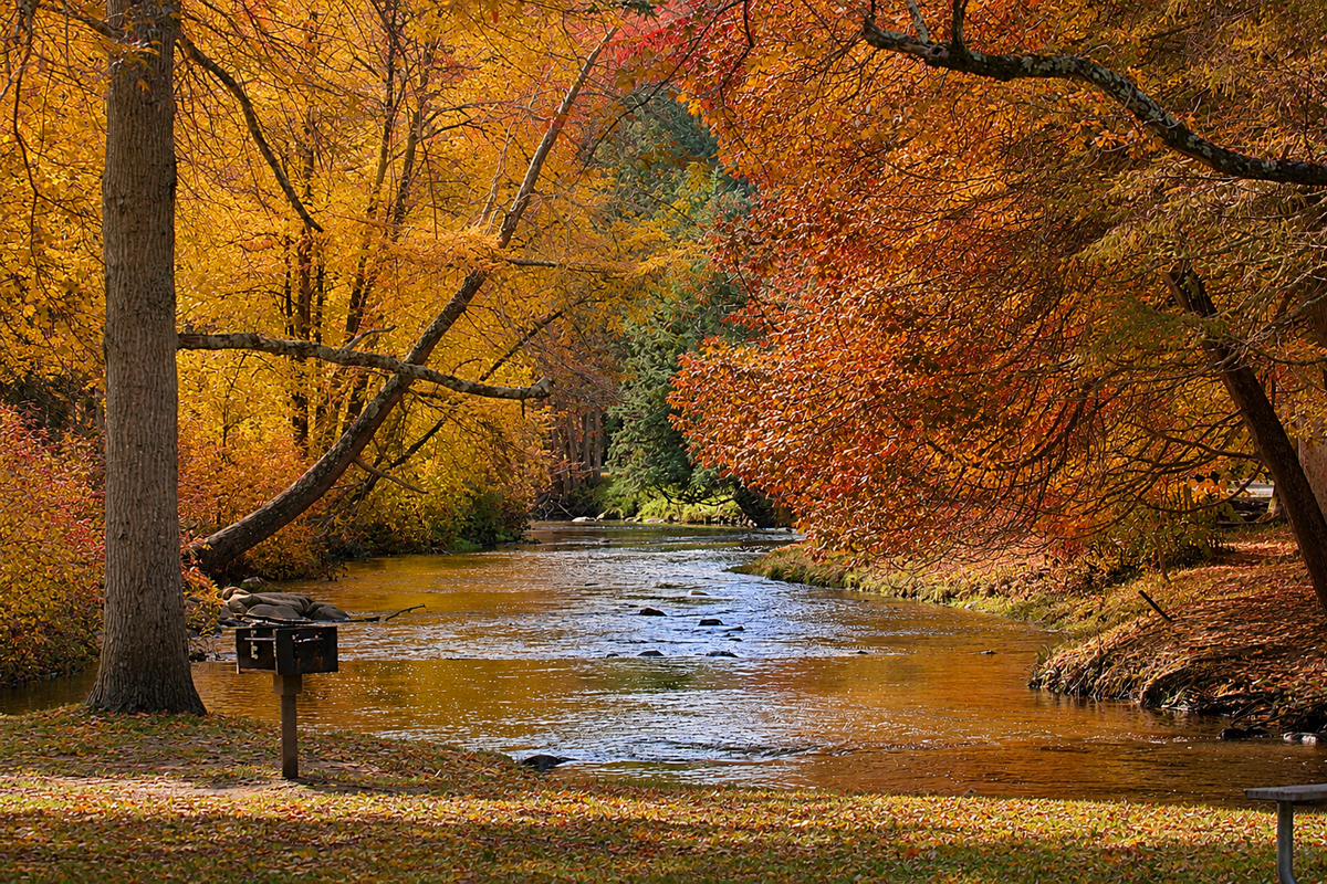 Where Autumn Slows Down — Saratoga Spa State Park