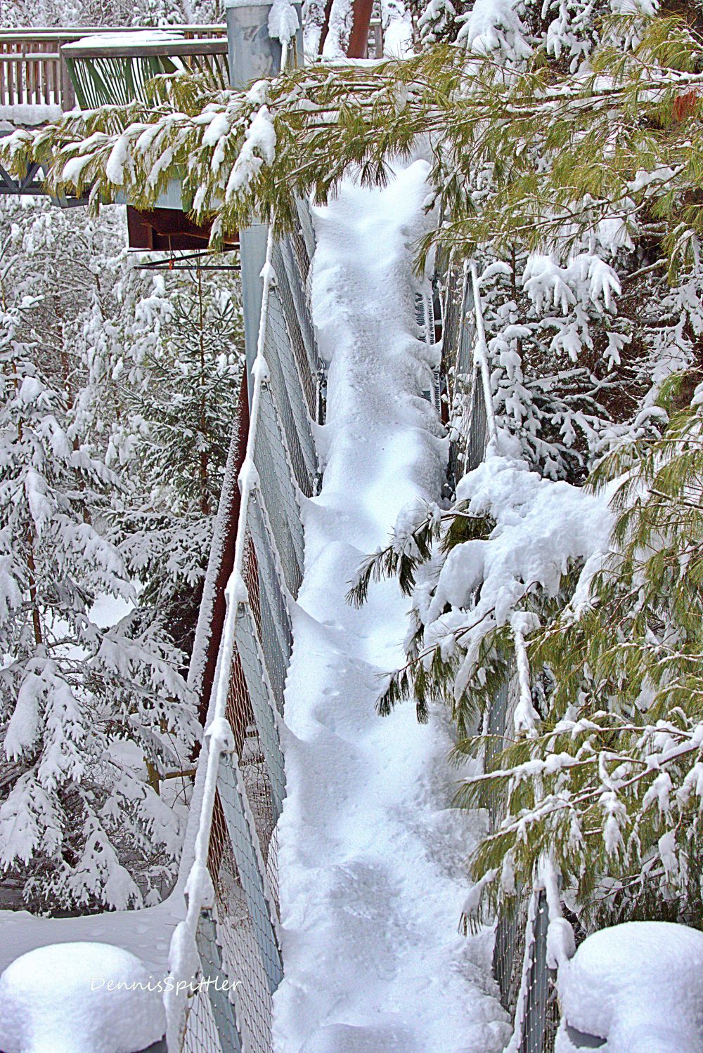 Winter Snow Photography Print - Tupper Lake NY Nature Wall Art