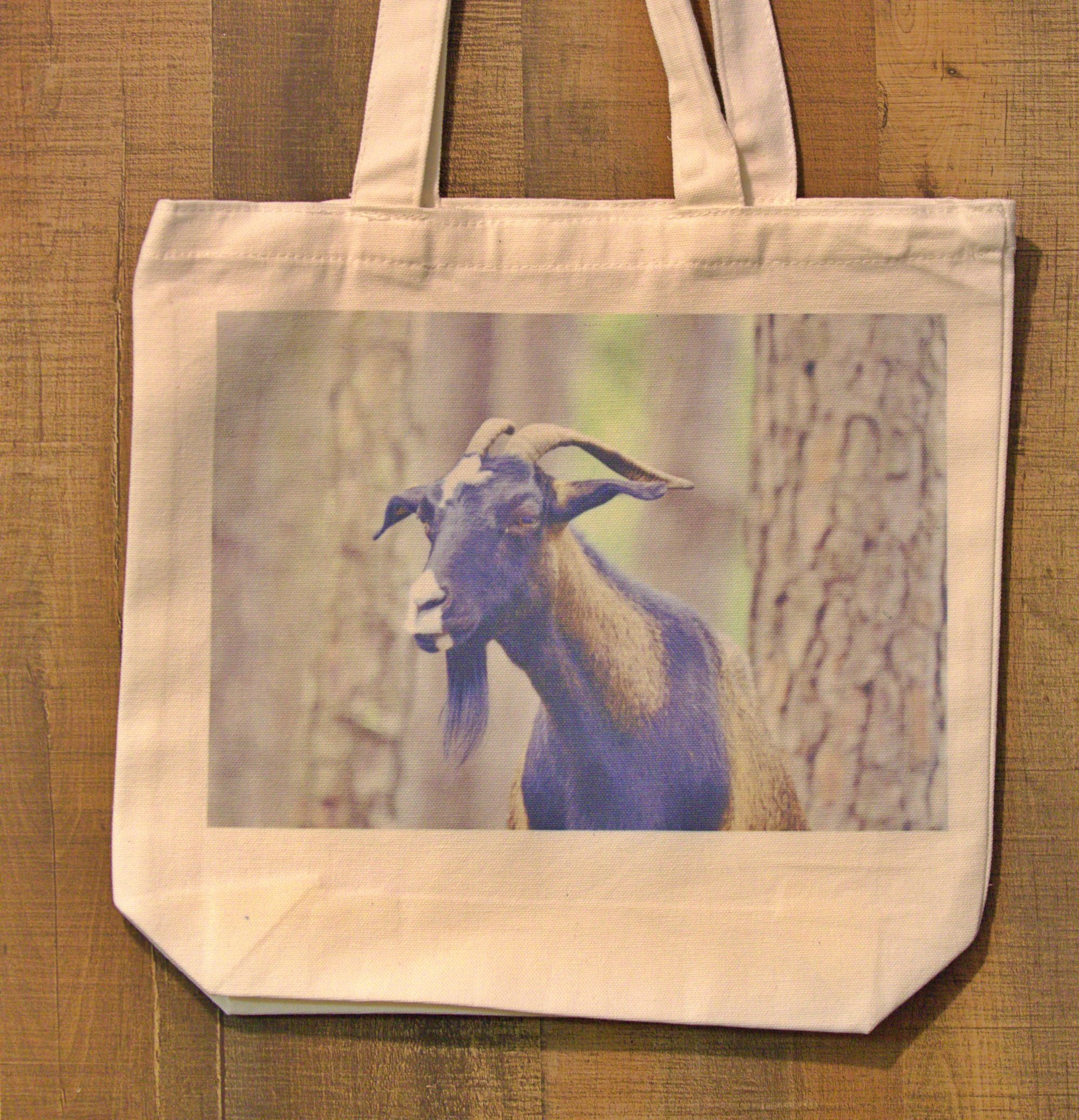 Wildlife Photography Prints - Eagles, Bison & Owls Nature Wall Art