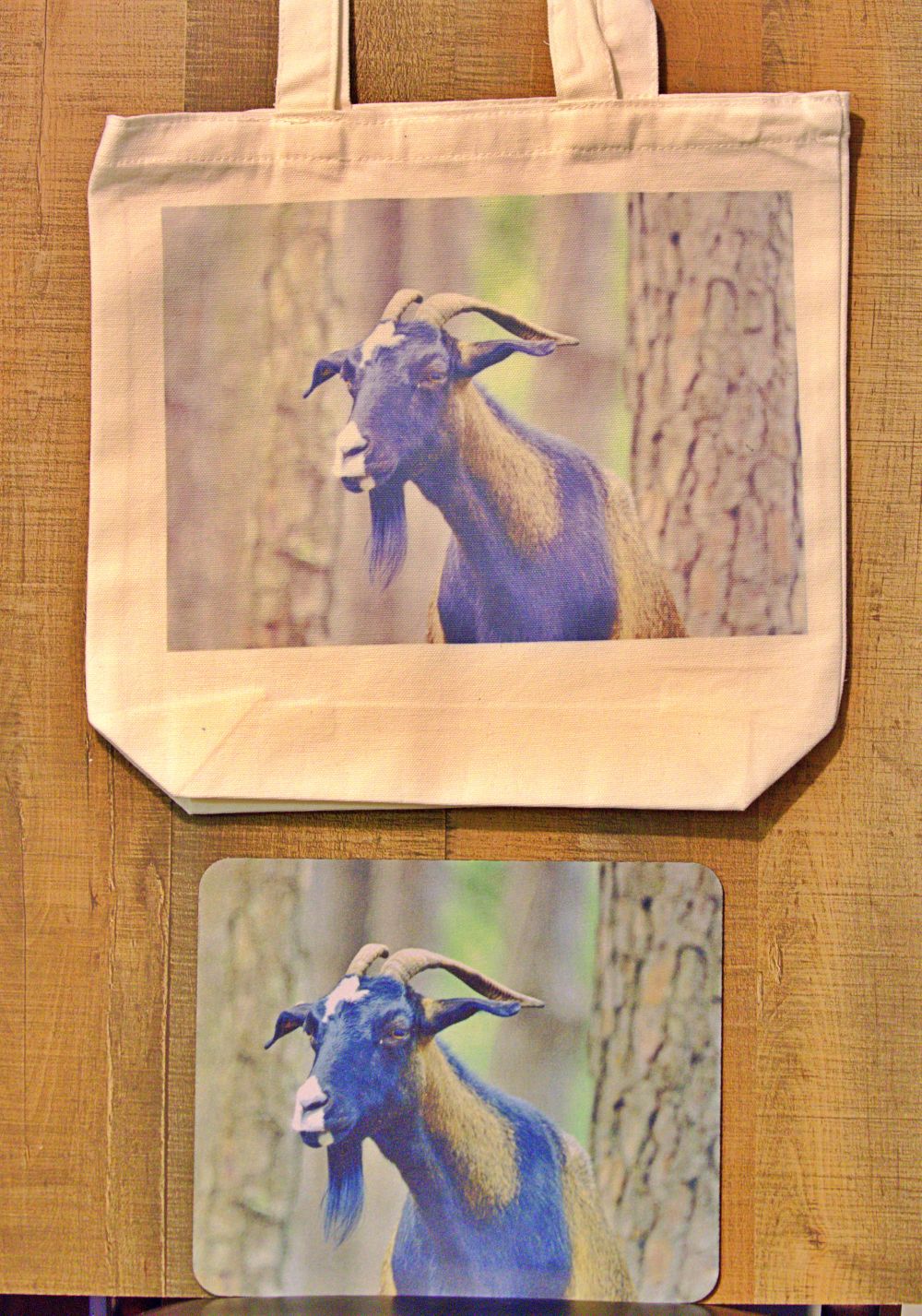 Horned Goat Photography Print - Majestic Wildlife Wall Art