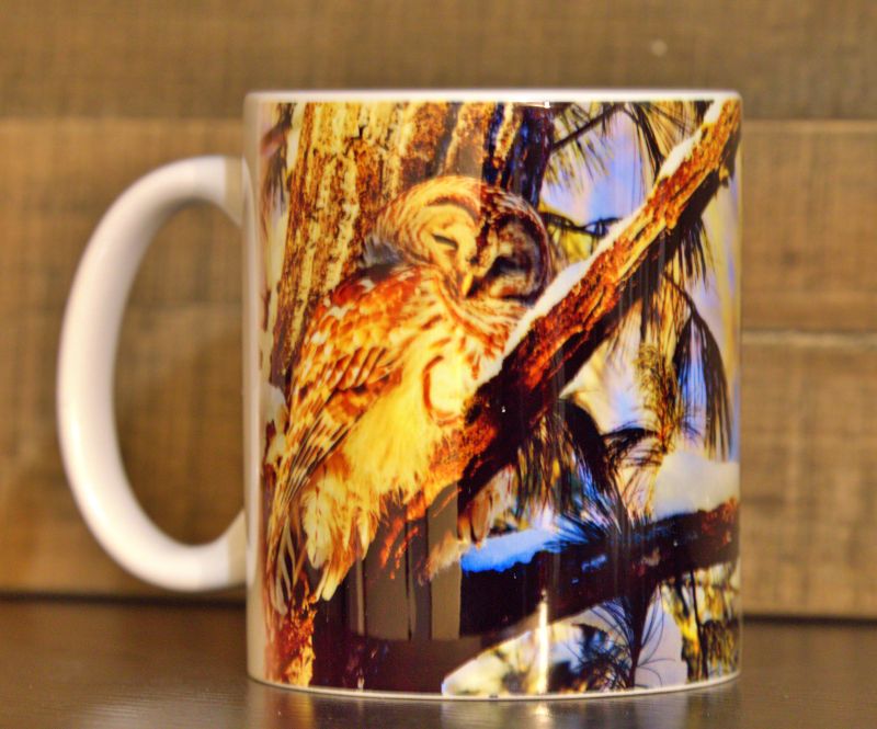 Wildlife Photography Prints - Eagles, Bison & Owls Nature Wall Art