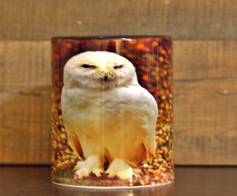 USA Flag Coffee Mug - 11oz Patriotic American Design