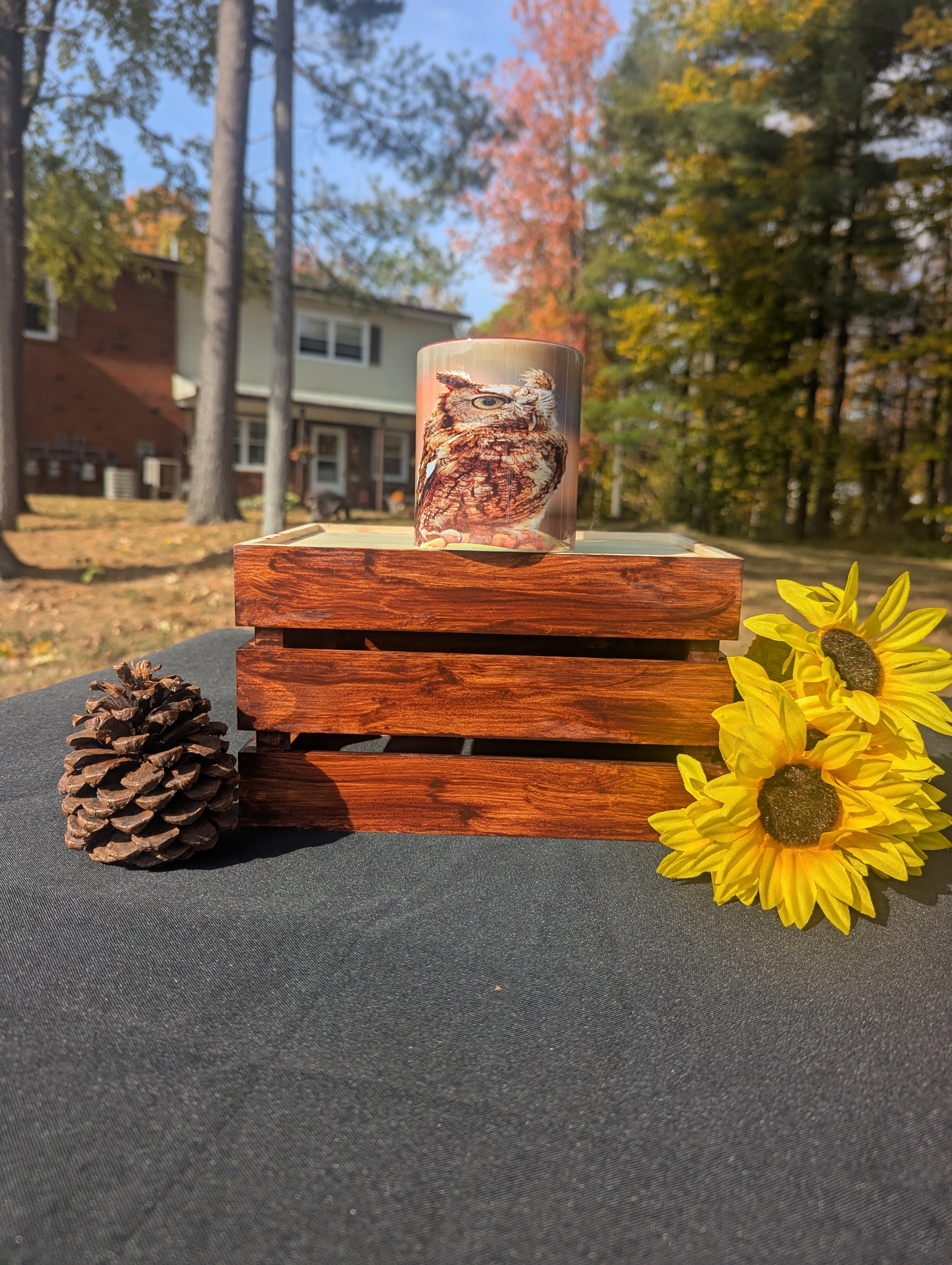 11oz Eagle Design Coffee Mugs