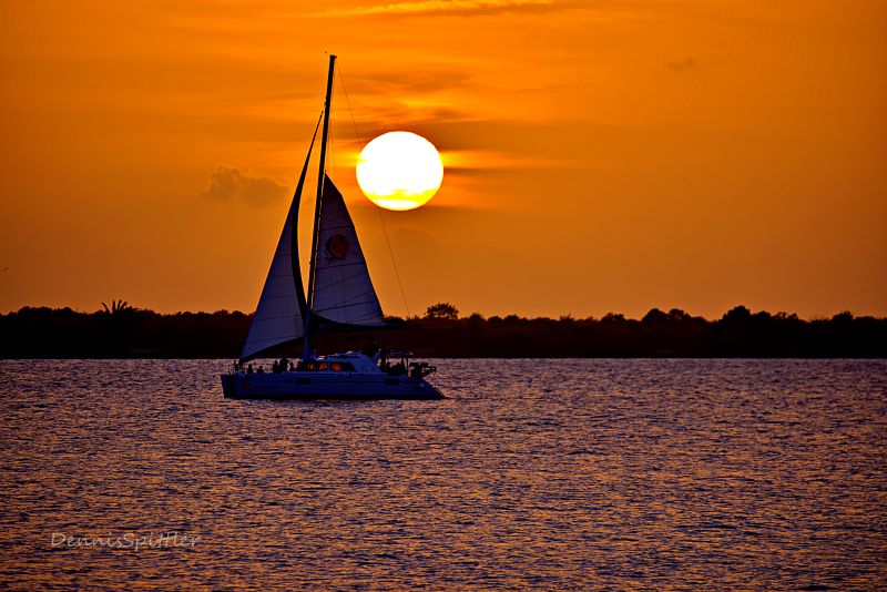 Adirondack Sunset with Ducks on Lake George - Upstate NY Nature Photography Print