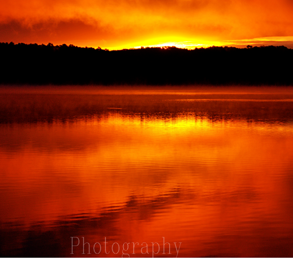 Wildlife Photography Prints Collection - Nature Wall Art